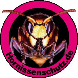 Hornissenschutz - Banner zum freien Download!