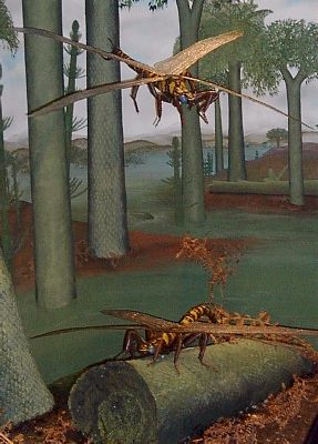 Nachbildung der Riesenlibelle in der Ausstellung "Ur-Geziefer" im Naturkundemuseum Stuttgart